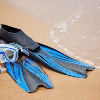 Best Snorkel Gears - Deciphering the Basics and Top 4 Picks!