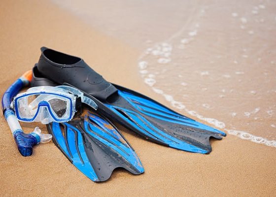 Best Snorkel Gears - Deciphering the Basics and Top 4 Picks!