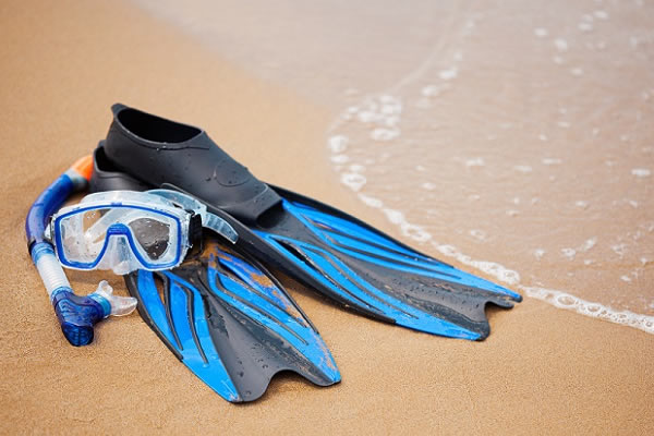 Best Snorkel Gears - Deciphering the Basics and Top 4 Picks!