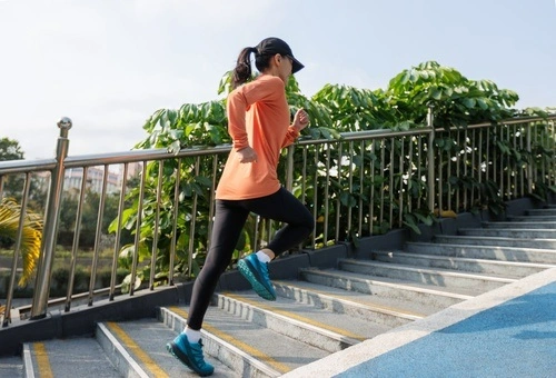 Stair Climbing — No Gym No Machine but betterr Weight Loss Exercises